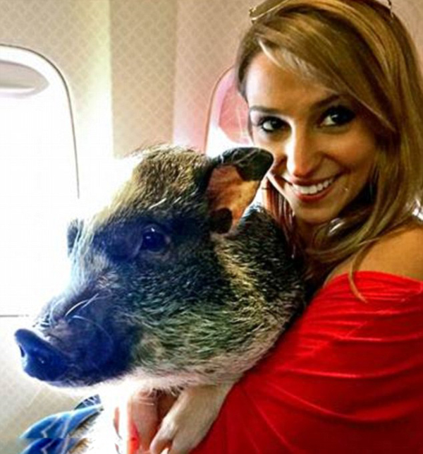 ��Ů��Я�������Ϸɻ������������