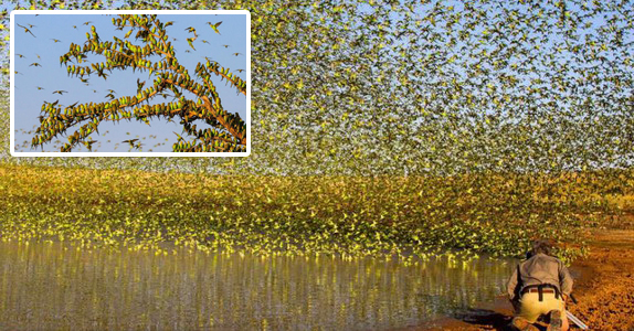 eb771a7bef9842a2bd4ab040dea60d26����