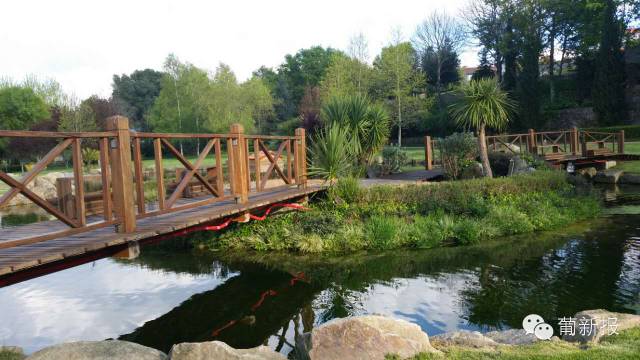 ���ǻ��𡱺���������Ŀ������ѵ�������Ի�����