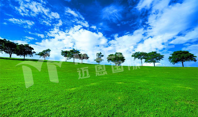 ���޷����ɽ�֮ǰ���������ֵ�ת�� (NSW, VIC, QLD)