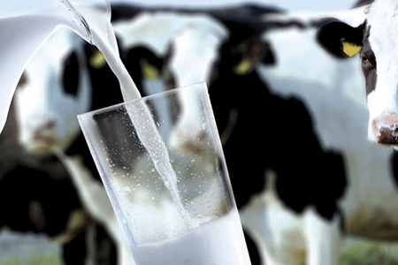 乳品拍卖价连续上涨,乳价反弹上涨已成定势 乳品拍卖价连续上涨,乳价反弹上涨已成定势