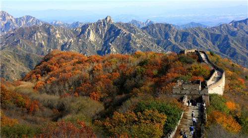 ����10��23������ı�������Ľ����������ɫ