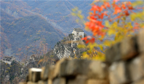 ����10��23������ı�������Ľ����������ɫ