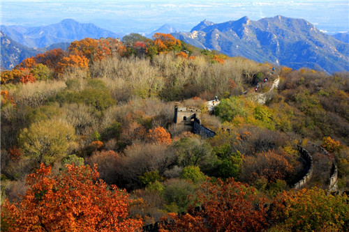 ����10��23������ı�������Ľ����������ɫ