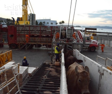 1477538598946512.png ţţ.png