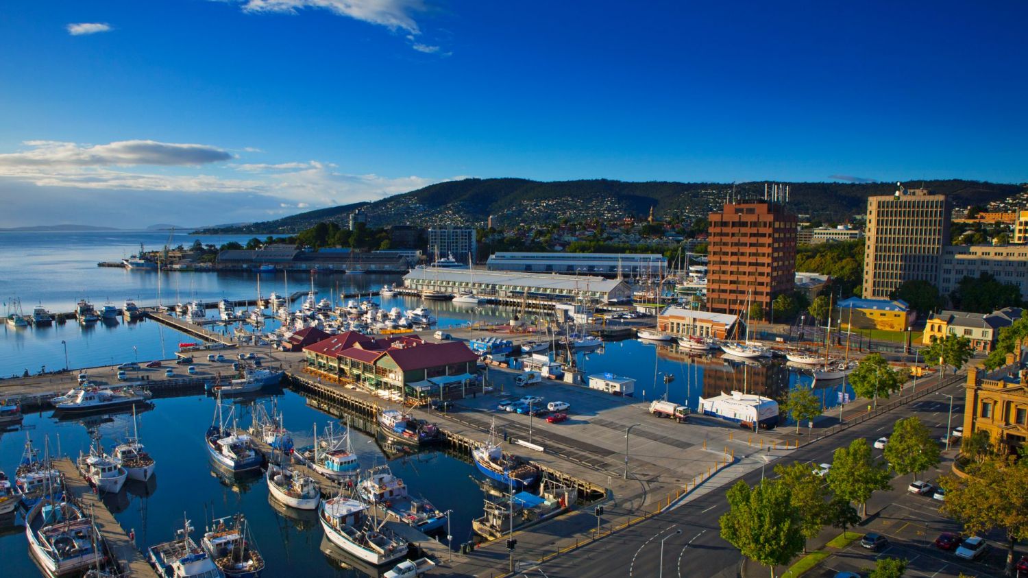 澳洲房屋空置率略降 各城租金涨跌不一