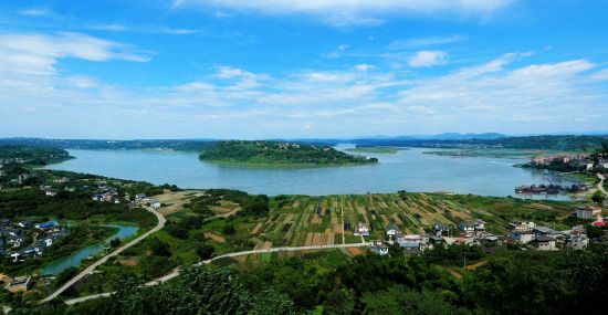 泸州市江阳区：以现代农业勾画乡村振兴新图景 图1