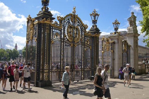 16146681875679731.jpg 16146681875679731.jpg