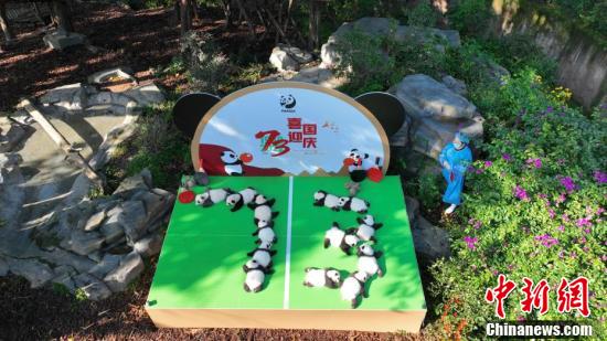 zgzg33_b6a449dbe7424fa384c977e9f5570747.jpg zgzg33_b6a449dbe7424fa384c977e9f5570747.jpg