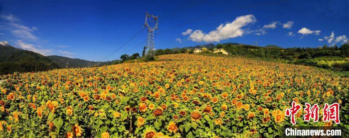 ����Ķ���տ������������š������庣 ��