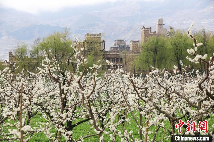 ��׵�����կ�����ӳ�����ճ�һ�������ĺ�г��̬�����������庣 ��