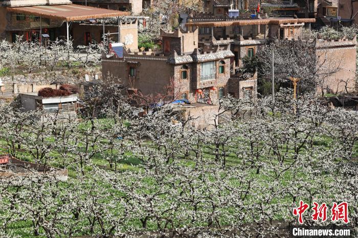 ��׵�����կ�����ӳ�����ճ�һ�������ĺ�г��̬�����������庣 ��