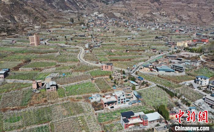 ��׵�����կ�����ӳ�����ճ�һ�������ĺ�г��̬�����������庣 ��