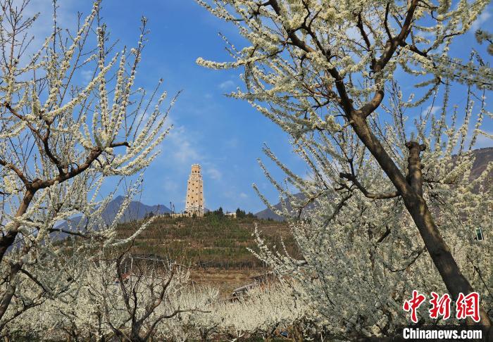 ��׵�����¥�����ӳ�����ճ�һ�������ĺ�г��̬�����������庣 ��