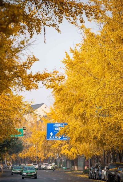 �ļ����򡤶����ƴ���