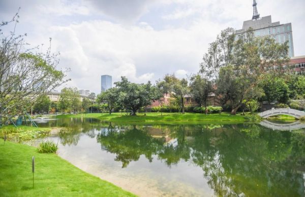 �ļ����򡤶����ƴ���