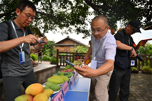 微信图片_20240708191202.jpg 微信图片_20240708191202.jpg