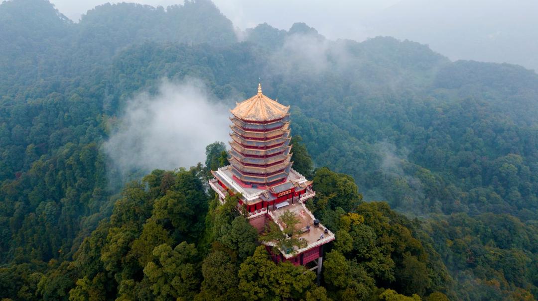 ���ɽ�Ͼ���